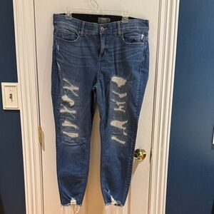 Torrid Distressed Skinny Jeans in Blue